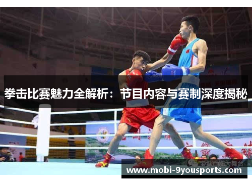 拳击比赛魅力全解析：节目内容与赛制深度揭秘